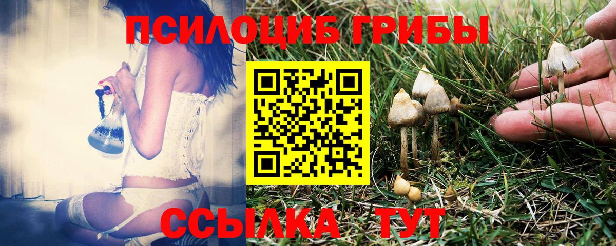 Псилоцибиновые грибы GOLDEN TEACHER Прохладный