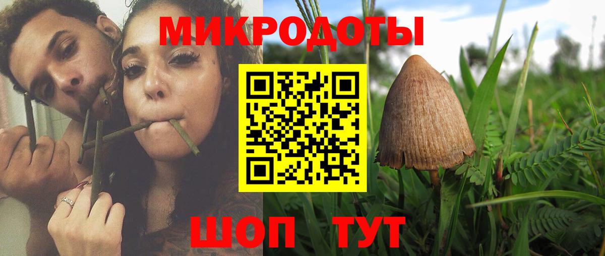 Псилоцибиновые грибы ЛСД  Псилоцибиновые грибы мухоморы  Вход с VPN  Прохладный 